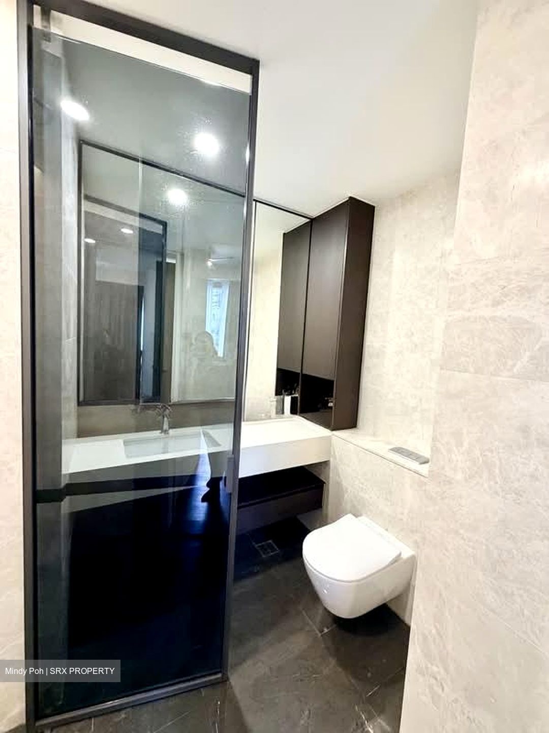 Amber Park (D15), Condominium #561207911